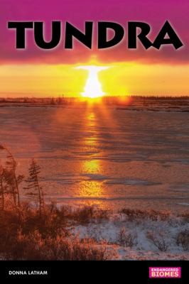 Cover for Tundra