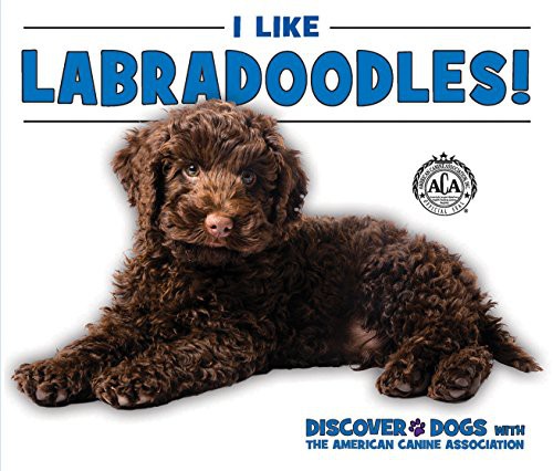Cover for I Like Labradoodles!