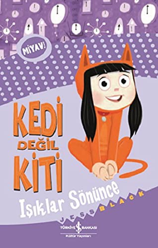 Cover for Kedi Degil Kiti
