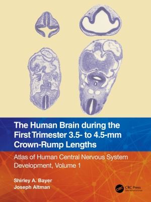 Cover for Human Brain During the Early First Trimester 3. 5 to 4. 5 Mm Crown-Rump  Lengths