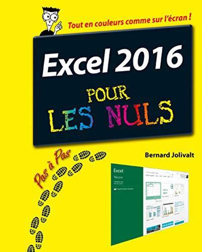 Cover for Excel 2016 Pour Les Nuls