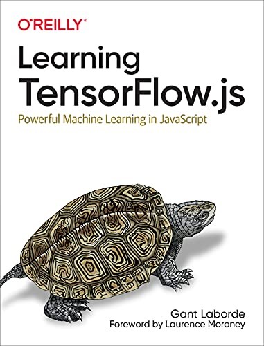 Cover for Learning TensorFlow. js