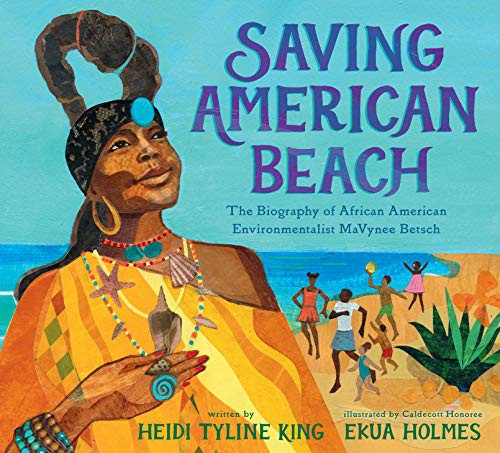 Cover for Saving American Beach