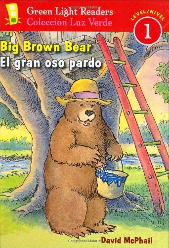 Cover for Big brown bear =