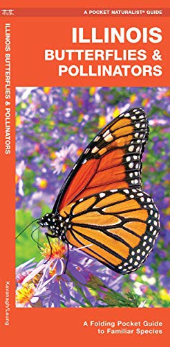 Cover for Illinois Butterflies & Pollinators