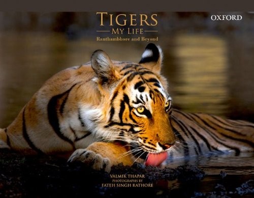 Cover for Tigers