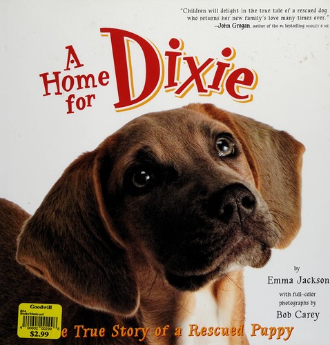 Cover for A home for Dixie