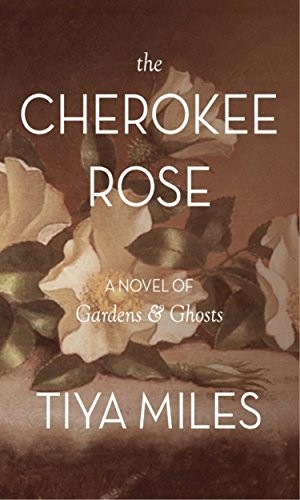 Cover for The Cherokee Rose