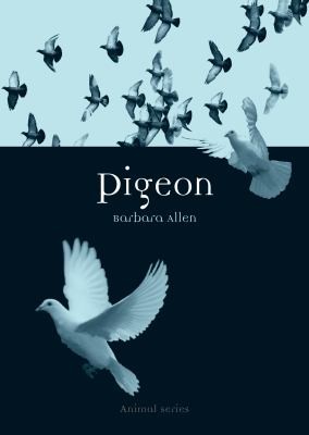 Cover for Pigeon