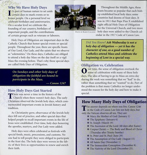 Cover for How to celebrate Holy days of obligation
