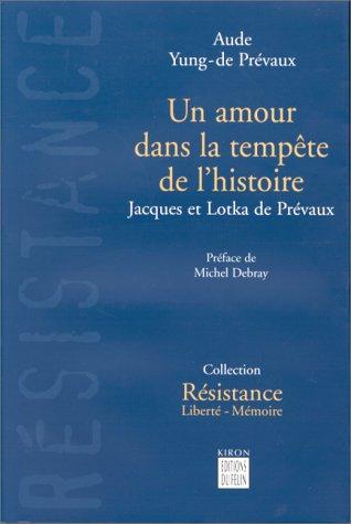 Cover for Amours Dans Temps (Collection Resistance liberte-memoire)