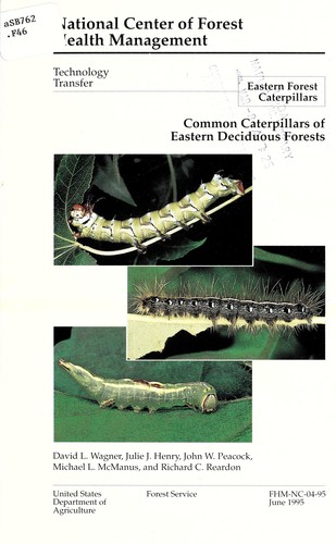 Cover for Common caterpillars of eastern deciduous forests