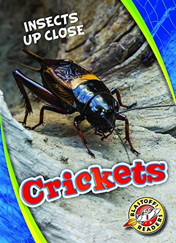 Cover for Crickets