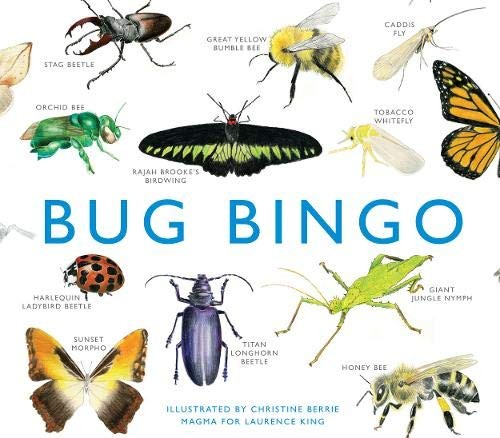 Cover for Bug Bingo
