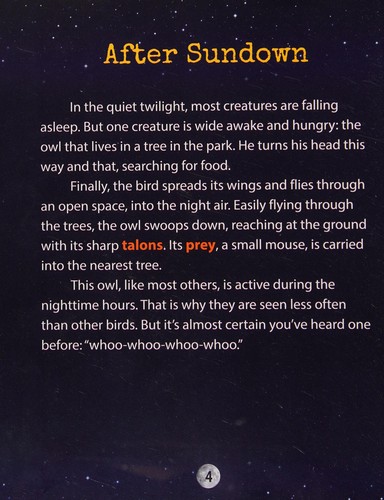 Cover for Owls after dark