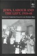 Cover for Jews, Labor and the Left, 1918-48