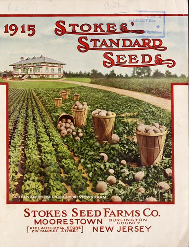 Cover for 1915 Stokes standard seeds