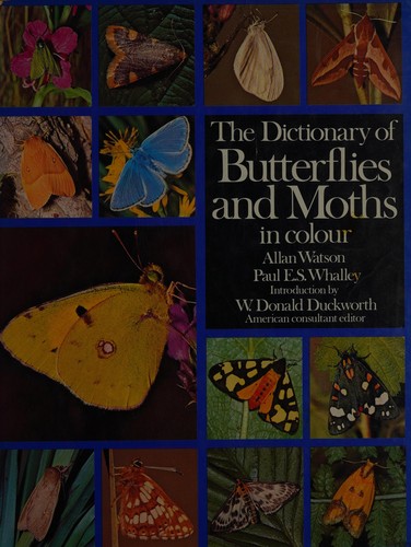 Cover for The dictionary of butterflies and moths in colour