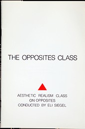 Cover for The Opposites Class