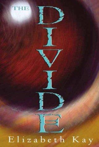 Cover for The Divide