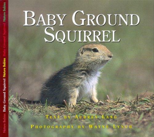 Cover for Baby Ground Squirrel (Nature Babies)