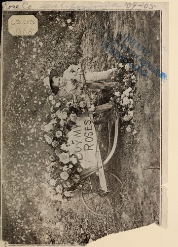 Cover for Illustrated and descriptive book of field grown, own root roses for the people