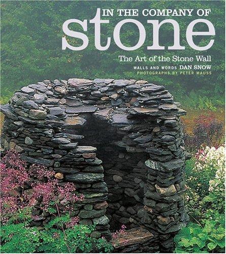 Cover for In the Company of Stone