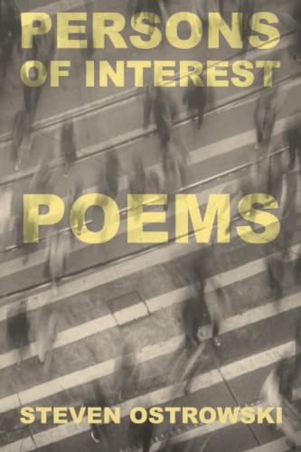 Cover for Persons of Interest