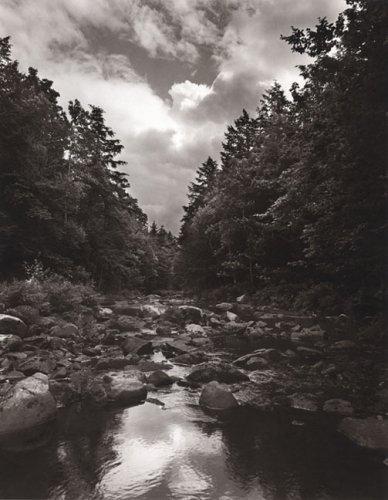 Cover for To save a river