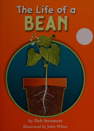 Cover for The life of a bean