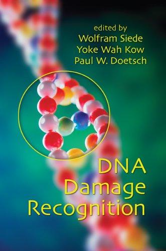 Cover for DNA Damage Recognition