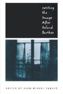 Cover for Writing the image after Roland Barthes