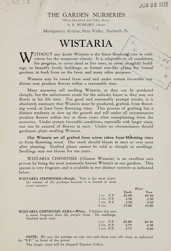 Cover for Wistarias