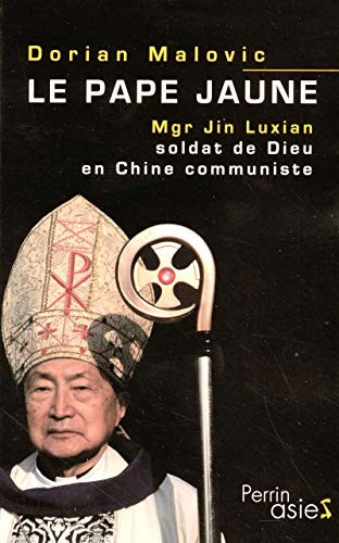 Cover for Le pape jaune