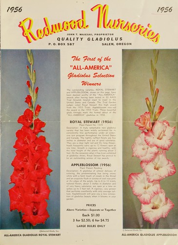 Cover for Quality gladiolus