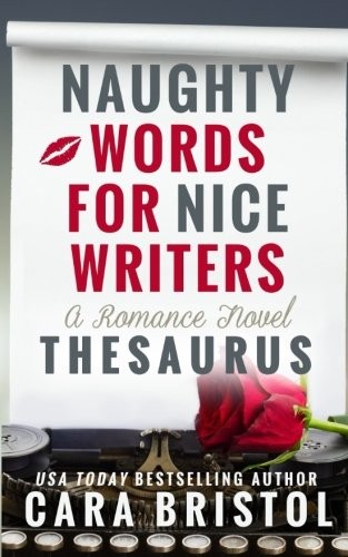 Cover for Naughty Words for Nice Writers