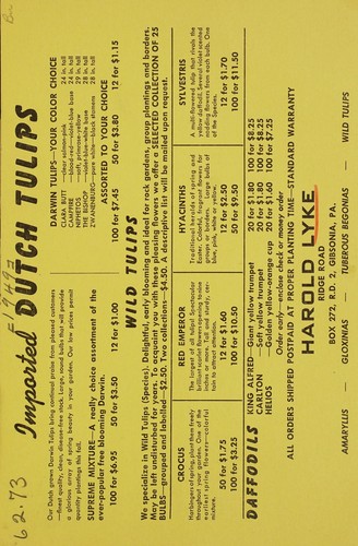 Cover for Imported Dutch tulips
