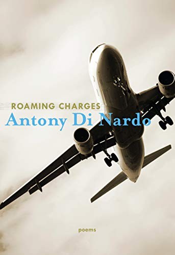 Cover for Roaming Charges