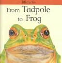 Cover for From Tadpole to Frog (Lifecycles)