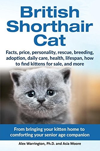 Cover for British Shorthair Cat