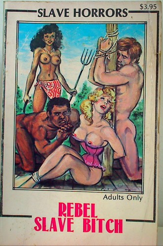 Cover for Rebel Slave Bitch