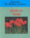 Cover for Bulb to tulip