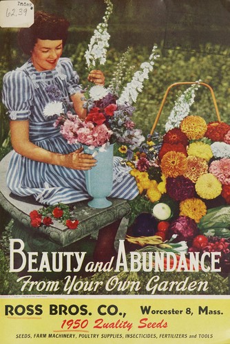 Cover for Beauty and abundance from your own garden