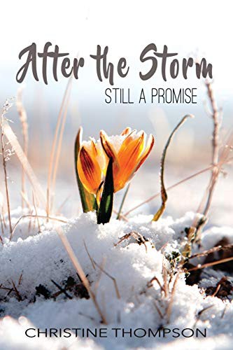 Cover for After the Storm