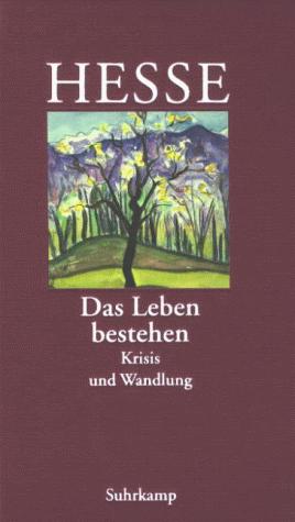 Cover for Das Leben bestehen. Krisis und Verwandlung.