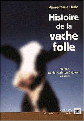 Cover for Histoire de la vache folle
