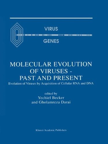 Cover for Molecular Evolution of Viruses - Past and Present