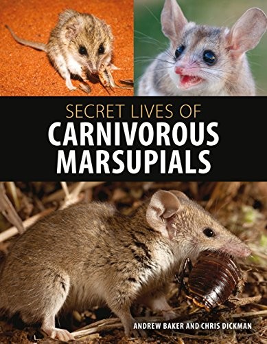 Cover for Secret Lives of Carnivorous Marsupials