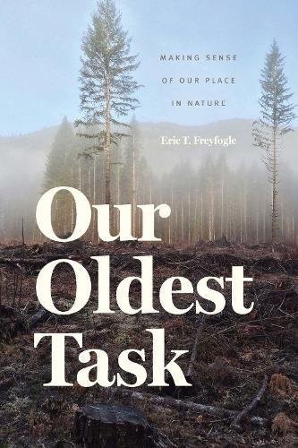 Cover for Our Oldest Task