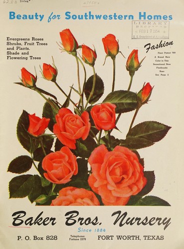 Cover for Beauty for Southwest homes